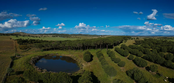 Scenic view of landscape against blue sky