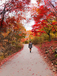 Rear view of man riding bicycle on road during autumn