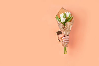 Close-up of hand holding plant against pink background