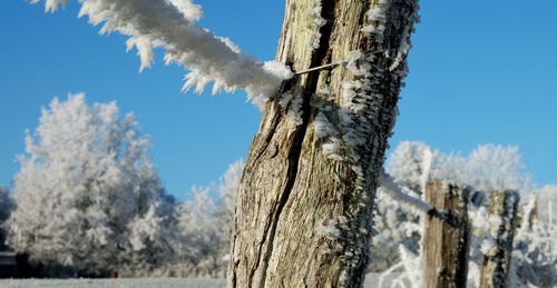 Bare tree against sky during winter