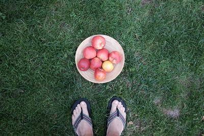 Low section of men standing on grassy field with bowl of apples