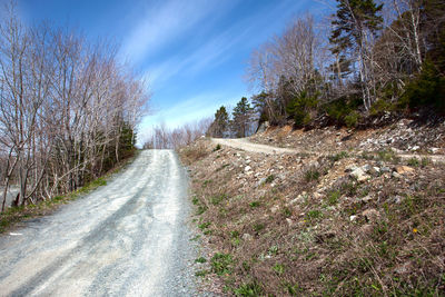 Dirt road amidst trees against sky