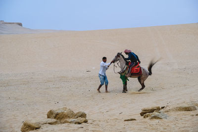 Man stopping arabian horse while standing on desert against sky