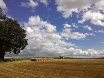 Scenic view of agricultural field against sky