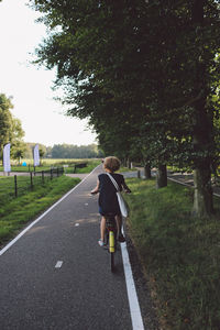 Rear view of people walking on road