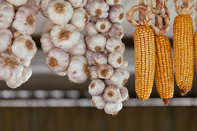 Close-up of flowers