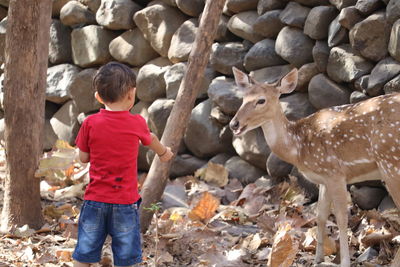 Rear view of boy standing