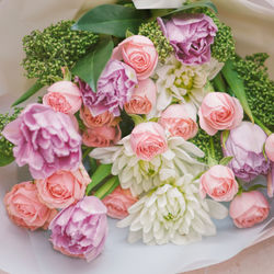 Close-up of pink roses on table