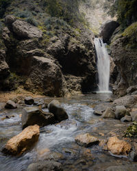 Scenic view of waterfall in forest