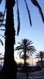 Silhouette palm trees against sky during sunset