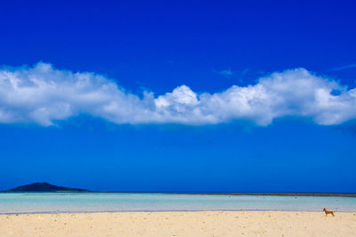 Scenic view of sea against blue sky