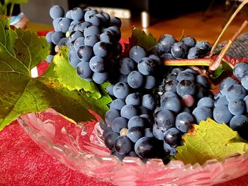 High angle view of grapes