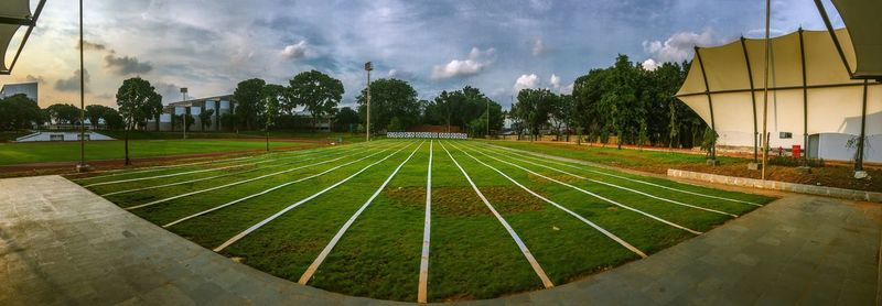 Panoramic shot of trees on field against sky