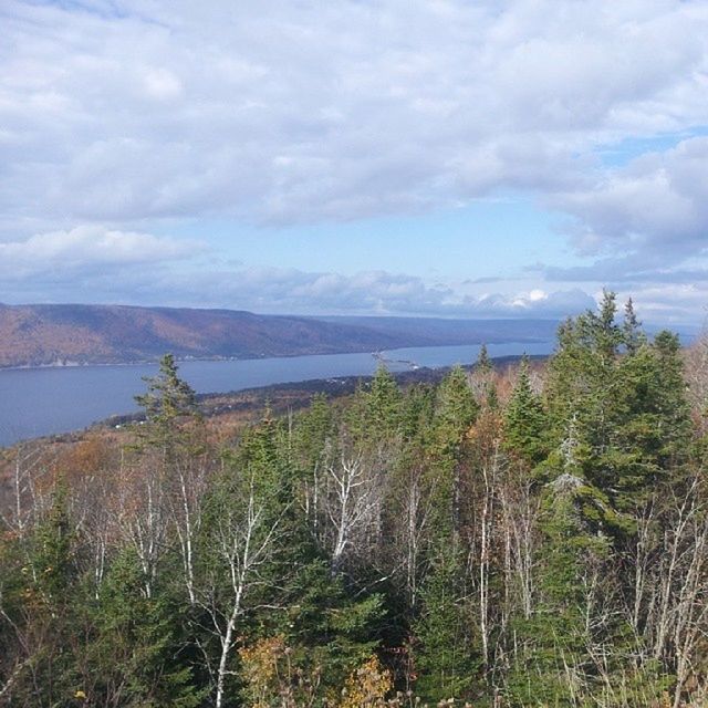 sky, tranquil scene, water, tranquility, scenics, beauty in nature, cloud - sky, mountain, cloudy, nature, tree, sea, cloud, lake, idyllic, non-urban scene, plant, landscape, mountain range, high angle view