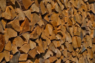 Full frame shot of logs in forest