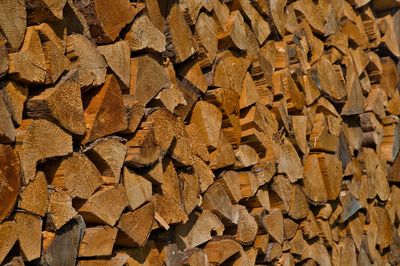 Full frame shot of logs in forest