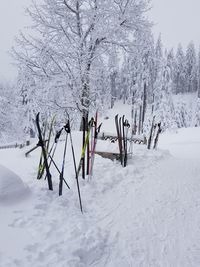 View of trees on snow covered field