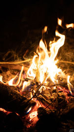Close-up of fire in the dark