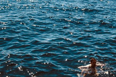 High angle view of woman swimming in sea