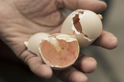 Close-up of villager holds hatched egg shell