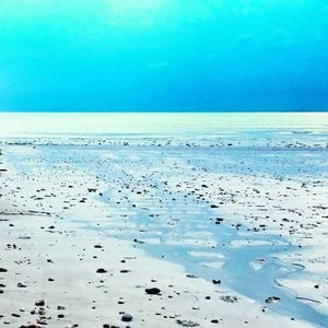 Flock of birds flying over sea against blue sky