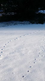Footprints in snow during winter