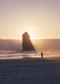 Silhouette man on beach
