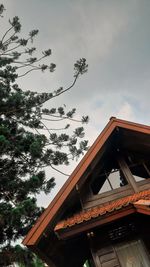 Low angle view of tree and building against sky