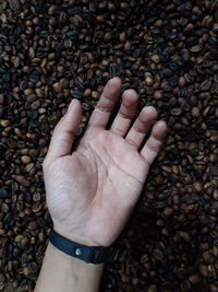 Cropped image of hand holding coffee beans