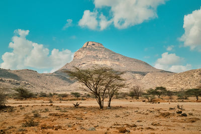 Scenic view of desert against sky