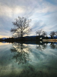 Bare tree by lake against sky