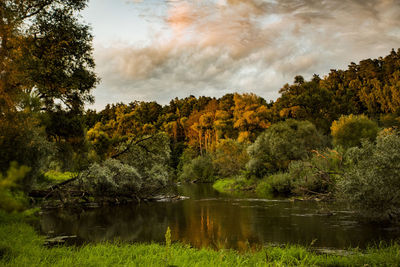 Scenic view of lake in forest against sky