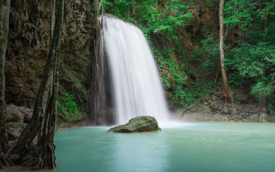 Scenic view of waterfall in forest