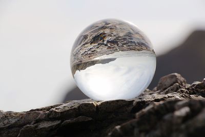 Close-up of rock against white background