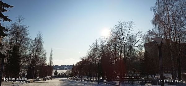 Bare trees against sky during winter