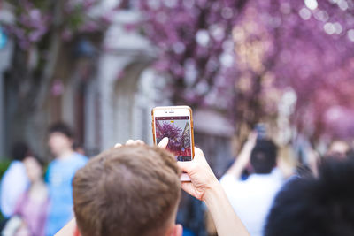 Rear view of man photographing tree through smart phone