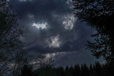 Low angle view of silhouette trees against sky
