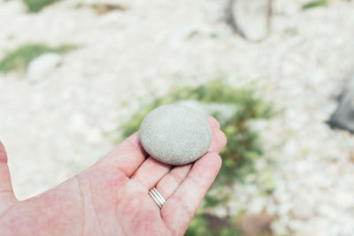 Cropped hand holding pebble