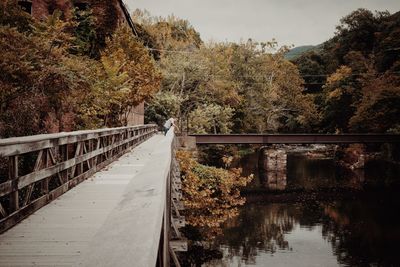 Footbridge over canal amidst trees