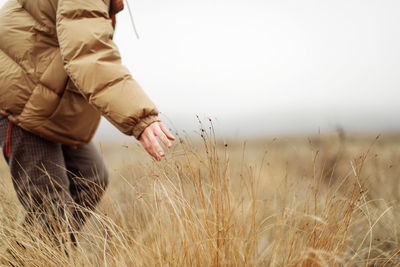 Unrecognizable female hands in autumn grass