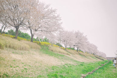 Scenic view of field against sky during winter