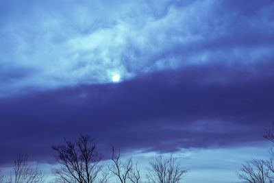 Low angle view of tree against cloudy sky