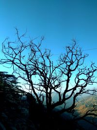 Low angle view of silhouette bare tree against clear blue sky