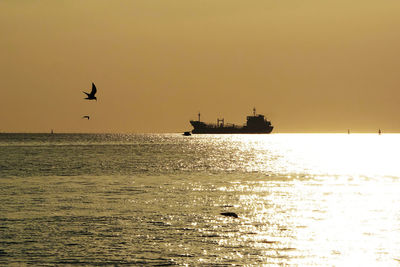 Silhouette birds on sea against sky during sunset