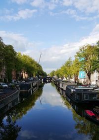 Boats moored on river by trees against sky