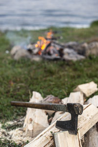 Wooden log on field