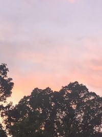 Low angle view of silhouette trees against sky during sunset