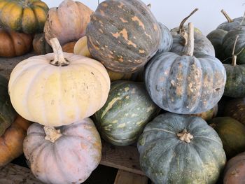 High angle view of pumpkins in market