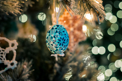 Close-up of christmas tree
