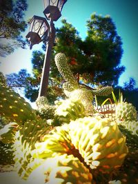 Low angle view of flowering plants against sky